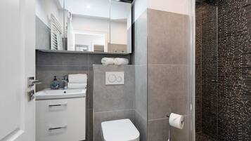 A modern bathroom with a toilet, sink, and mirror.