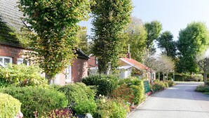 A residential street with brick houses, a paved road, and lush greenery.