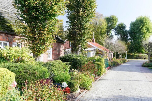 A residential street with brick houses, a paved road, and lush greenery.