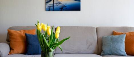 Televisor i estèreo