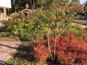 En have med forskellige planter og buske, en brobelagt sti og en mindre bygning i baggrunden.
