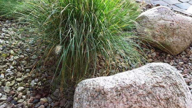 Ein Garten mit einem großen Felsen und grünem Gras.