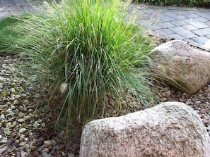 A garden with a large rock and green grass.