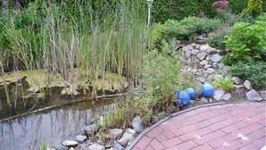 Un jardin avec un étang, un chemin en briques et diverses plantes.