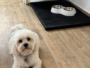 Unclassified image, 5 of 15, button