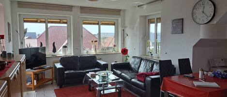 Télévision, lecteur de DVD, chaîne hi-fi