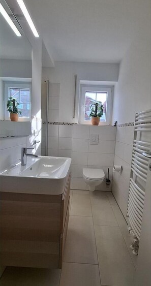 Shower, hair dryer