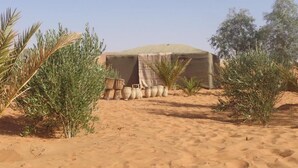 A desert landscape with a tent-like structure in the center, surrounded by sparse vegetation. - Camel trek bivouac in Merzouga (Merzouga)