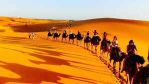 A group of people riding camels through a desert landscape. - Camel trek bivouac in Merzouga (Merzouga)