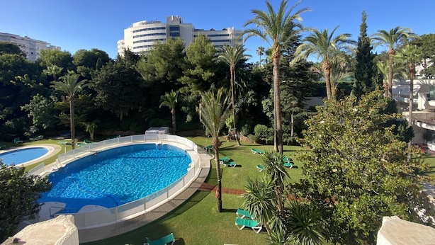 A swimming pool surrounded by palm trees and lounge chairs, with a building in the background.