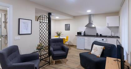 Housing León Azabachería 1A
