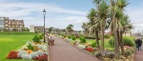 المنطقة المحيطة بالمنشأة