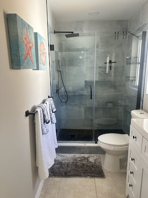 Shower, hair dryer, towels