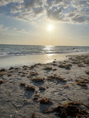 A beach with seaweed on the sand and the ocean in the background. - Fully renovated house with very clean design. New Kitchen and bathrooms. (Venice)