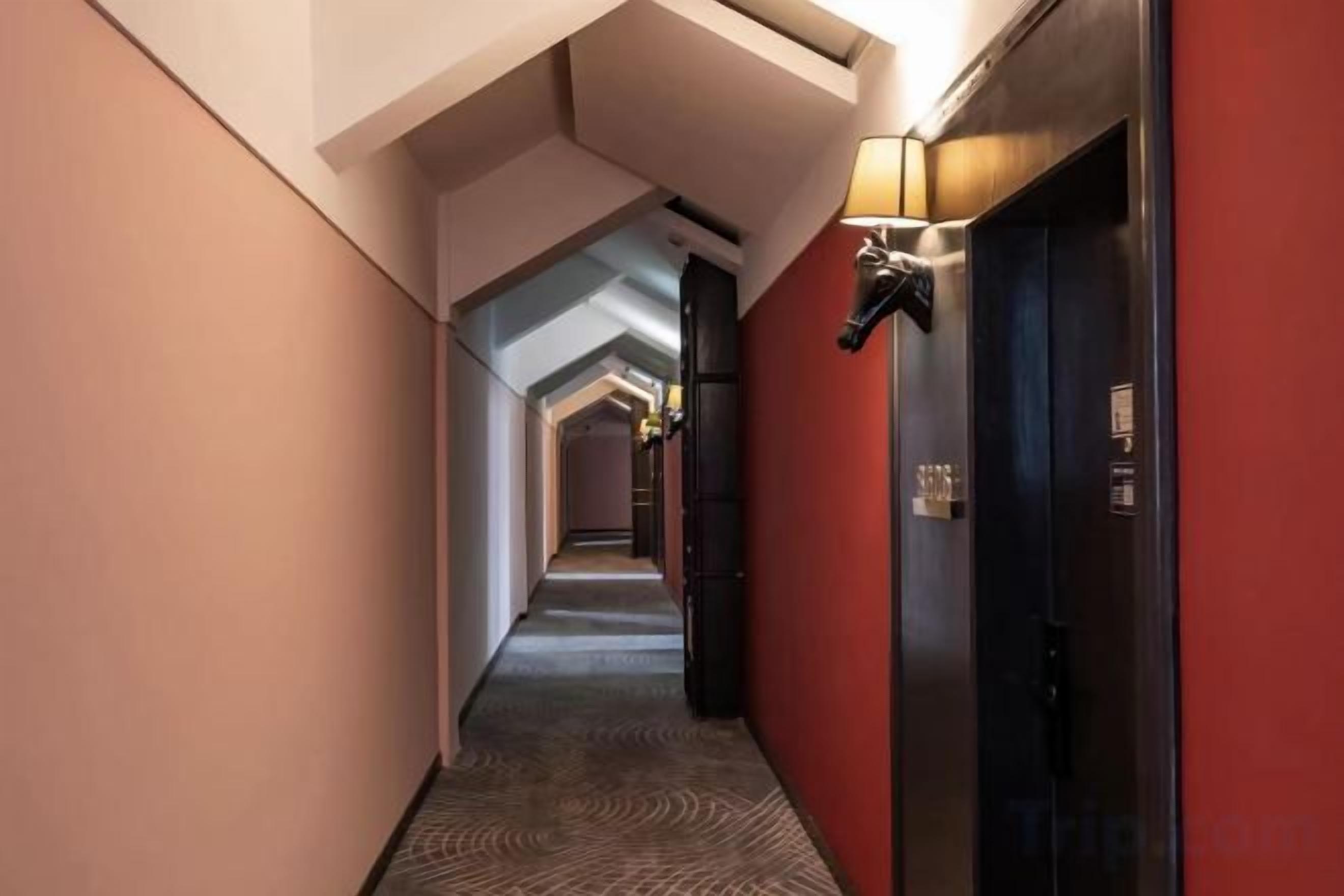Un pasillo con piso alfombrado, una pared roja a un lado y un ascensor negro al otro.