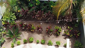 Un giardino pensile con diverse piante e una ghirlanda di luci.