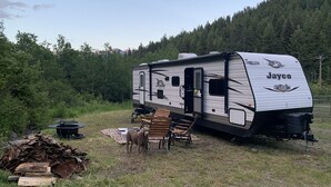 Un camper Jayco parcheggiato in zona erbosa con un cane nelle vicinanze, circondato da alberi e da una pila di legna da ardere.