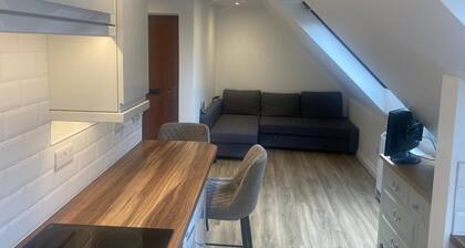 Cheerful and Unique 1 BD Flat in Yeovil Somerset