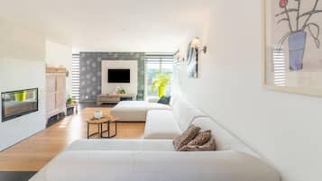 TV, fireplace