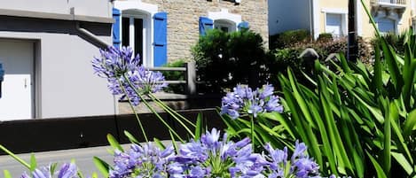 A stone building with blue shutters and a white door, surrounded by lush greenery and purple flowers.