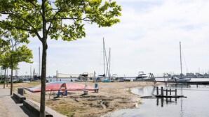 A waterfront area with boats docked, a sandy beach, and a tree.