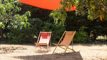 Terrein van de accommodatie