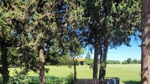 Una struttura in legno rustica con un cancello in metallo, circondata da alberi e un prato erboso.
