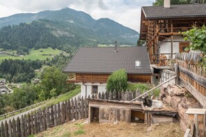 Property grounds - Holiday Apartment 'La Plates - Daduman' with Mountain View, Terrace & Sauna (Ortisei)