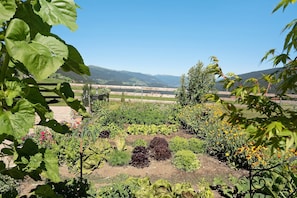 Ein Garten mit verschiedenen Pflanzen und freiem Blick auf ferne Berge.