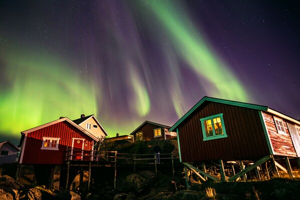 A row of wooden cabins with a starry night sky and the Northern Lights.