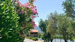 Una strada fiancheggiata da alberi e cespugli, un edificio con tetto rosso e un cielo azzurro limpido.