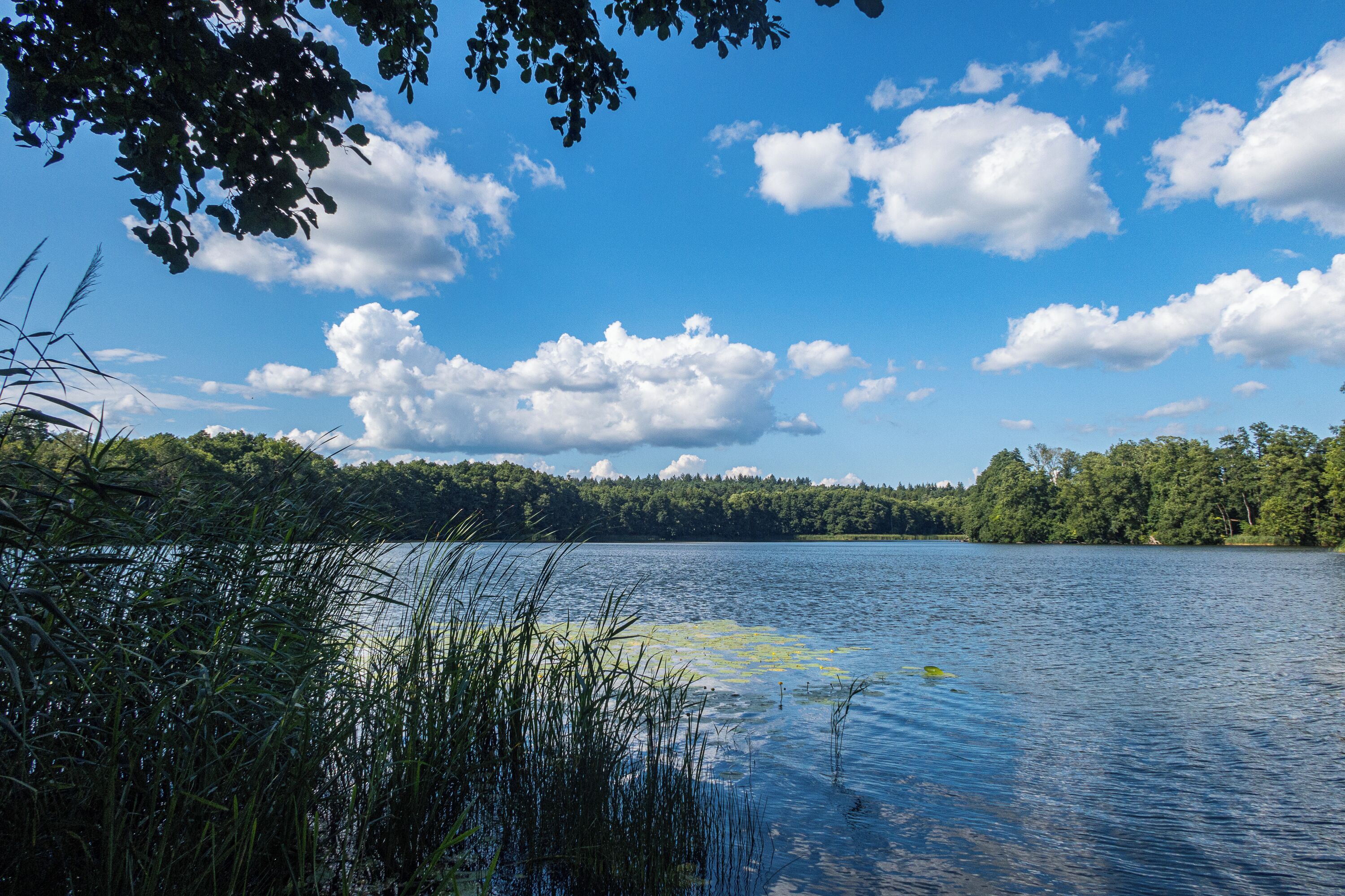 Un lac paisible aux eaux limpides, entouré d’une végétation luxuriante et d’arbres, sous un ciel bleu parsemé de nuages.