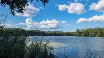 Un lac paisible aux eaux limpides, entouré d’une végétation luxuriante et d’arbres, sous un ciel bleu parsemé de nuages.