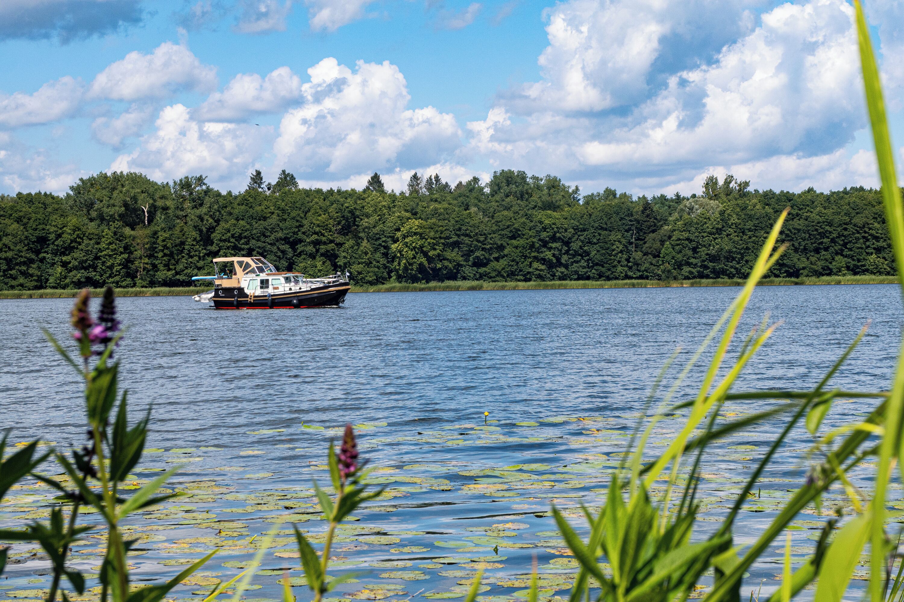 Ein Boot auf einem See mit bewaldeter Uferlinie.