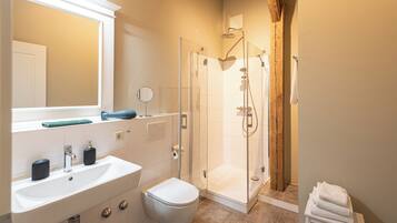 A bathroom with a white sink, a toilet, a glass-enclosed shower, and a mirror above the sink.