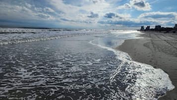 On the beach