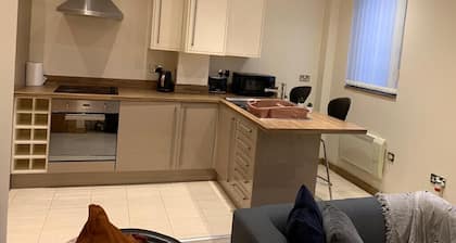 Executive Apartment a very short walk to the Sunderland metro and train station.