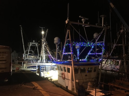 CORBIE NEIST: Overlooking Kirkcudbright Harbour