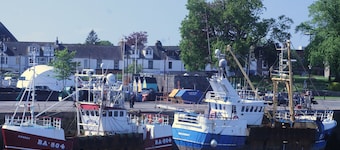 CORBIE NEIST: Overlooking Kirkcudbright Harbour