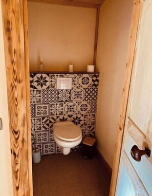 Shower, hair dryer, toilet paper