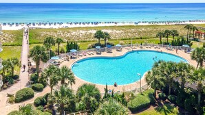 A large, oval-shaped swimming pool surrounded by palm trees and lounge chairs, with a beach and ocean view in the background.