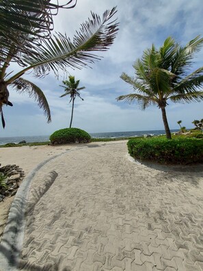 A paved pathway leading to a beach with palm trees and a view of the ocean. - Stylish Jungle Condo, Walking Distance to Beach (Akumal)