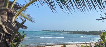 Stylish Jungle Condo, Walking Distance to Beach
