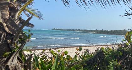 Stylish Jungle Condo, Walking Distance to Beach