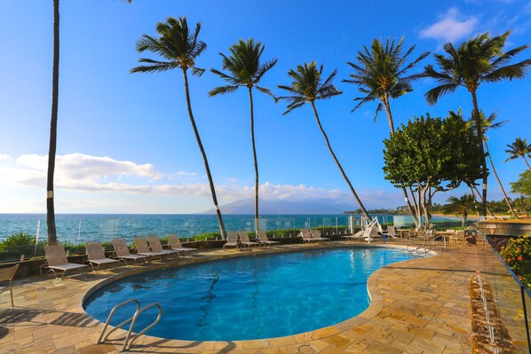 Relax by the pool surrounded by palm trees and a calm sea view.