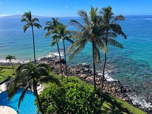 Relax by the ocean with a serene pool surrounded by lush greenery and palm trees.