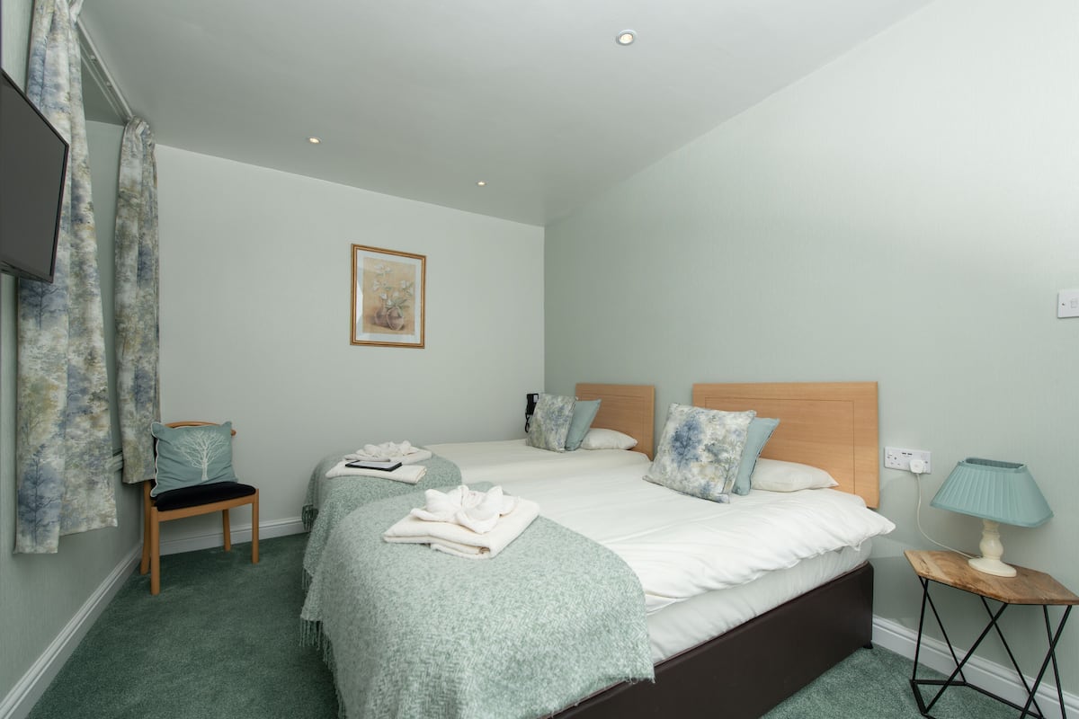 Twin Room | Desk, iron/ironing board, free WiFi, bed sheets