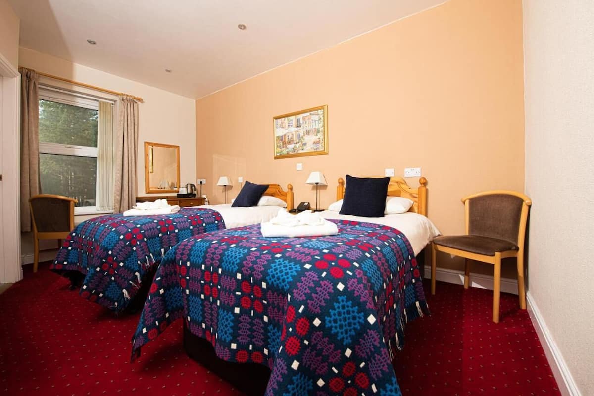 Premium Twin Room, 2 Twin Beds, Mountain View | Desk, iron/ironing board, free WiFi, bed sheets