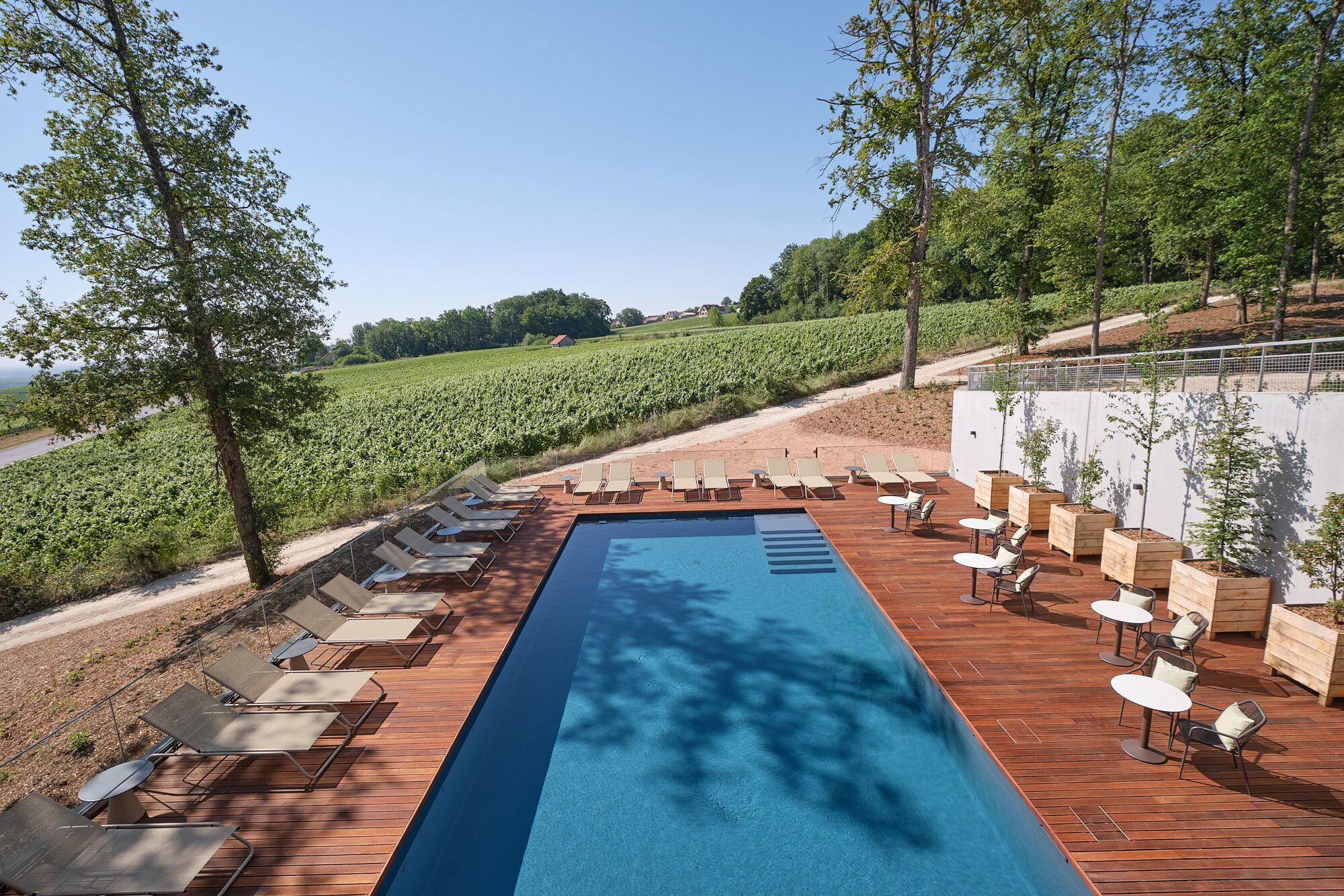 Una piscina rettangolare con lettini e tavoli su un pontile in legno, circondata da un vigneto e alberi.