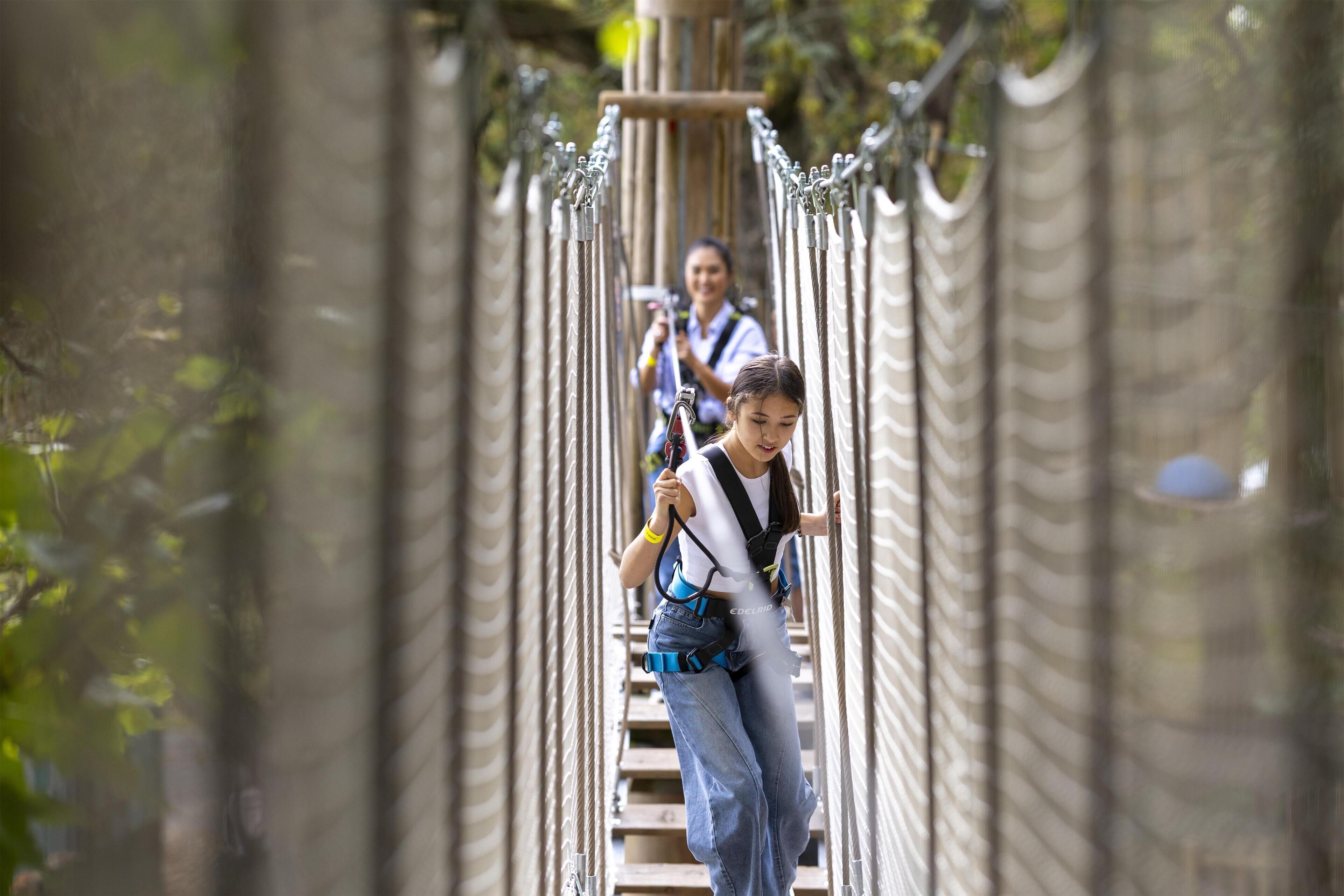 Foto - art'otel London Battersea Power Station, Powered by Radisson Hotels